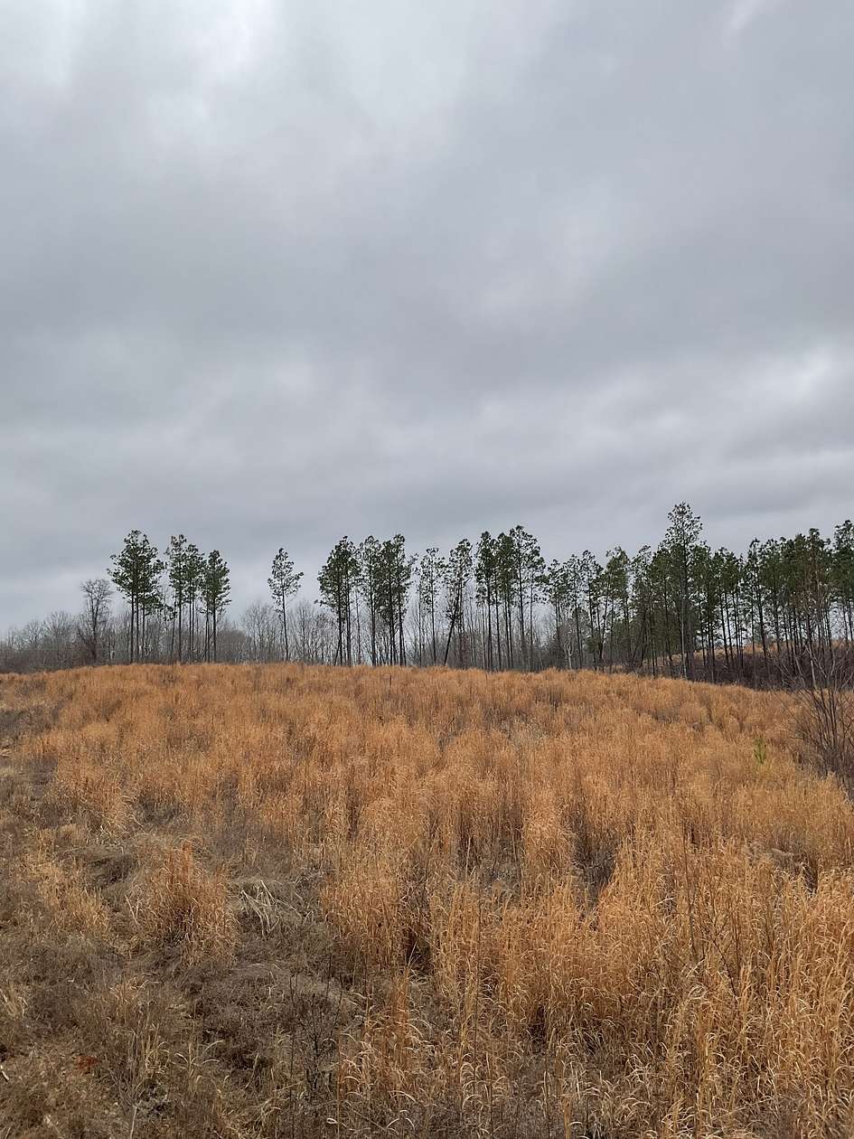 5 Acres of Residential Land for Sale in Dover, Tennessee