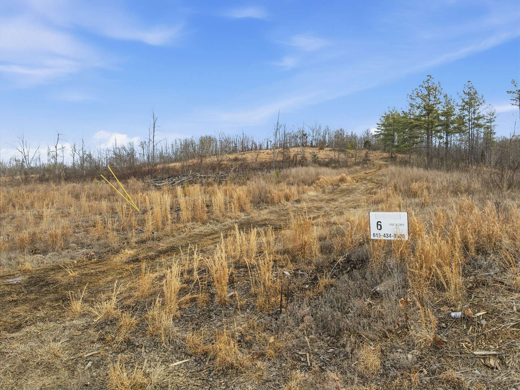 20.4 Acres of Recreational & Residential Land for Sale in Dover, Tennessee