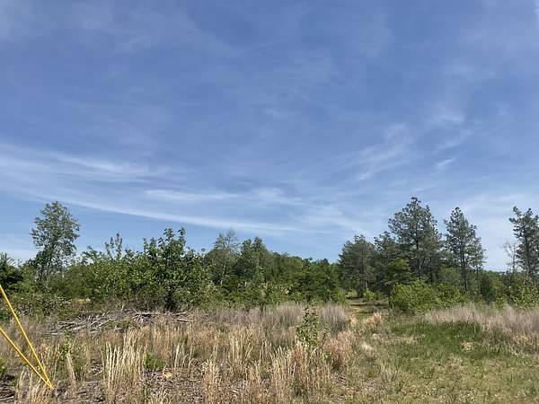 20.4 Acres of Recreational & Residential Land for Sale in Dover, Tennessee