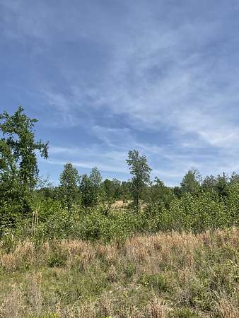 20.4 Acres of Recreational & Residential Land for Sale in Dover, Tennessee