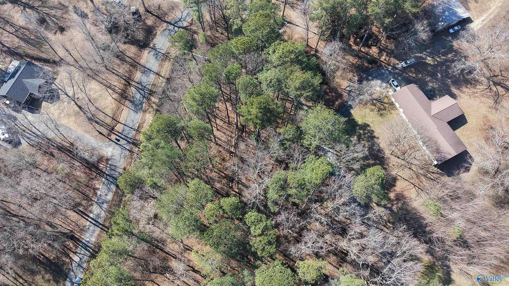 1.26 Acres of Residential Land for Sale in Fyffe, Alabama