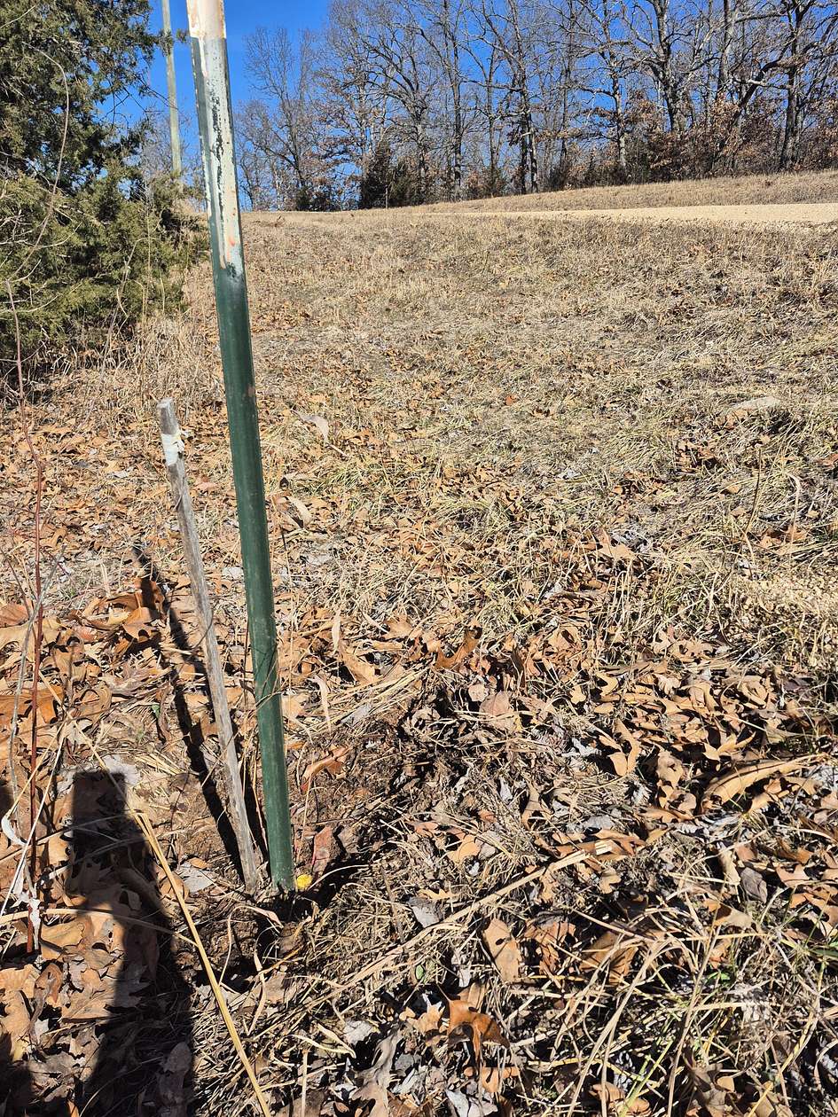 65 Acres of Recreational & Residential Land for Sale in Lincoln, Missouri