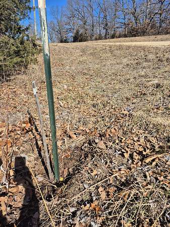 65 Acres of Recreational & Residential Land for Sale in Lincoln, Missouri