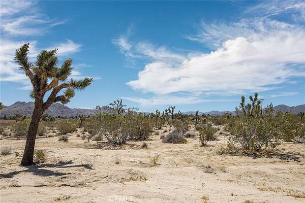 1.25 Acres of Land for Sale in Joshua Tree, California