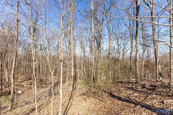 0.92 Acres of Land for Sale in Huntsville, Alabama