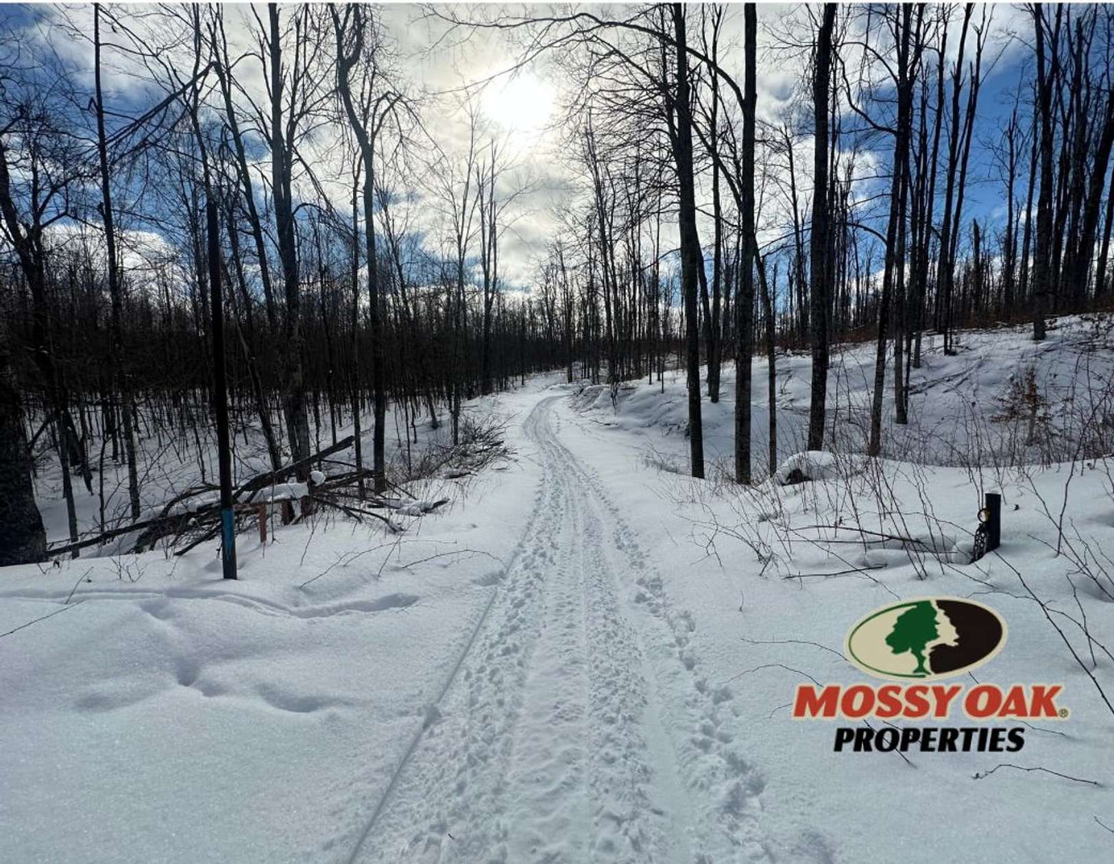 39.7 Acres of Recreational Land for Sale in Atlanta, Michigan