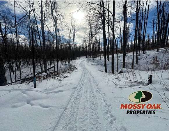 39.7 Acres of Recreational Land for Sale in Atlanta, Michigan