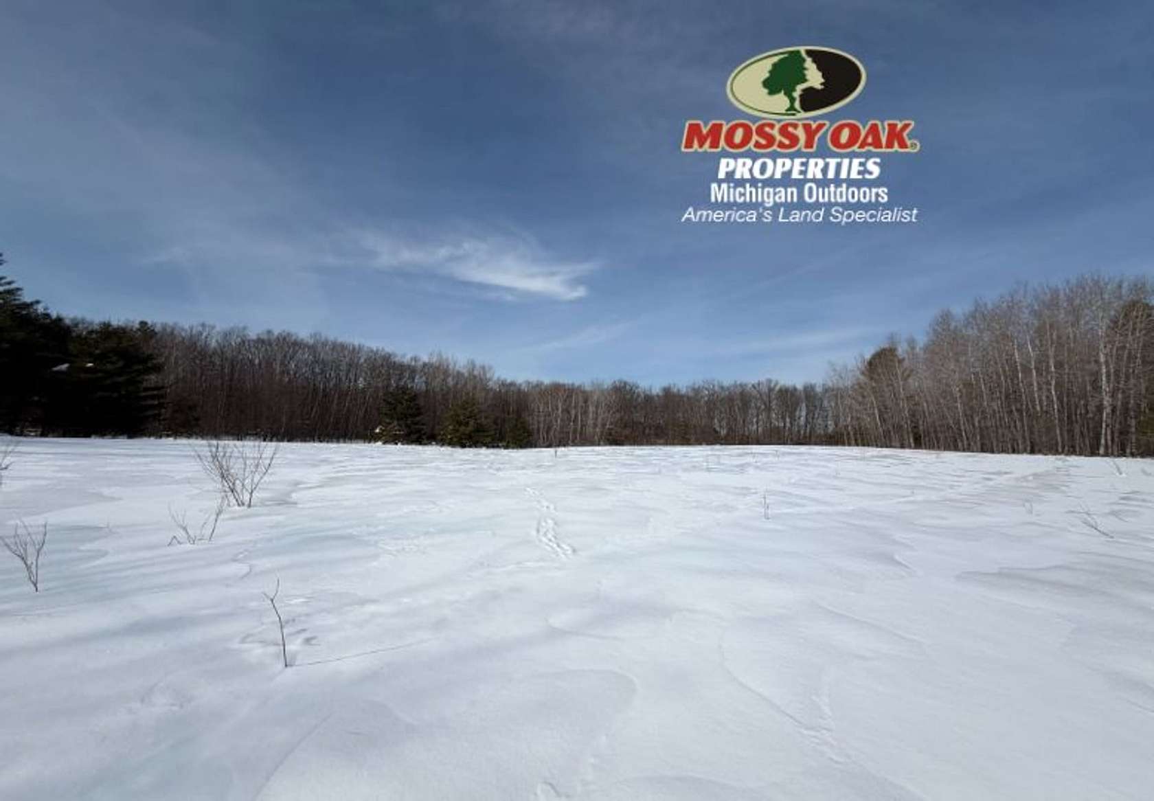 34 Acres of Land for Sale in White Cloud, Michigan