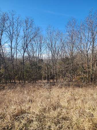 68 Acres of Recreational Land for Sale in Nelson, Missouri