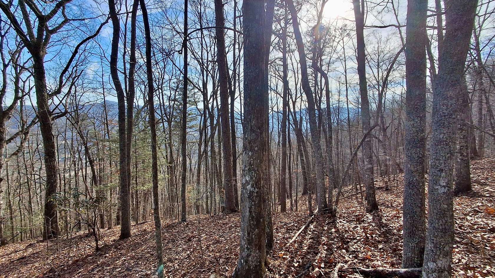 17.4 Acres of Recreational & Residential Land for Sale in Webster, North Carolina