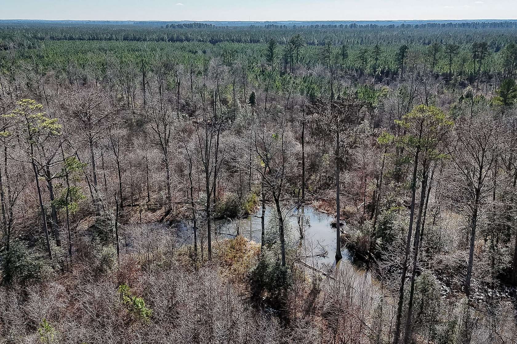 473 Acres of Recreational Land for Sale in Hamburg, Arkansas