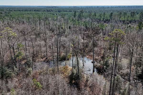 473 Acres of Recreational Land for Sale in Hamburg, Arkansas