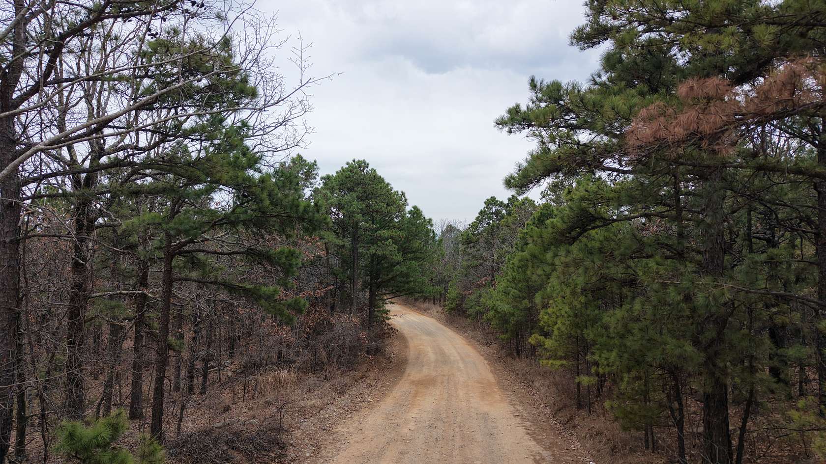 39.2 Acres of Land for Sale in Wilburton, Oklahoma