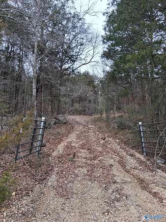 93.7 Acres of Recreational Land for Sale in Trenton, Alabama