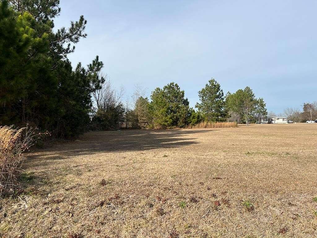 0.3 Acres of Land for Sale in Fitzgerald, Georgia