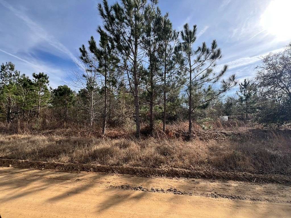 0.3 Acres of Land for Sale in Fitzgerald, Georgia