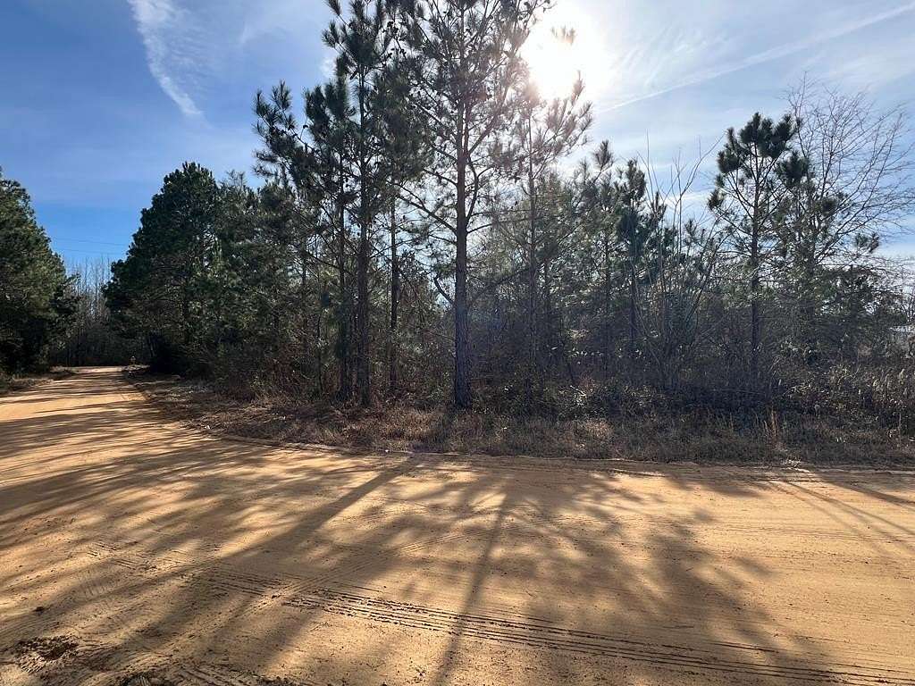 0.3 Acres of Land for Sale in Fitzgerald, Georgia