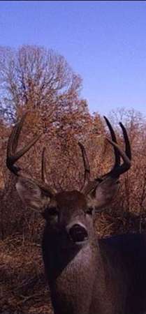 189 Acres of Improved Recreational Land for Sale in Boxelder, Texas