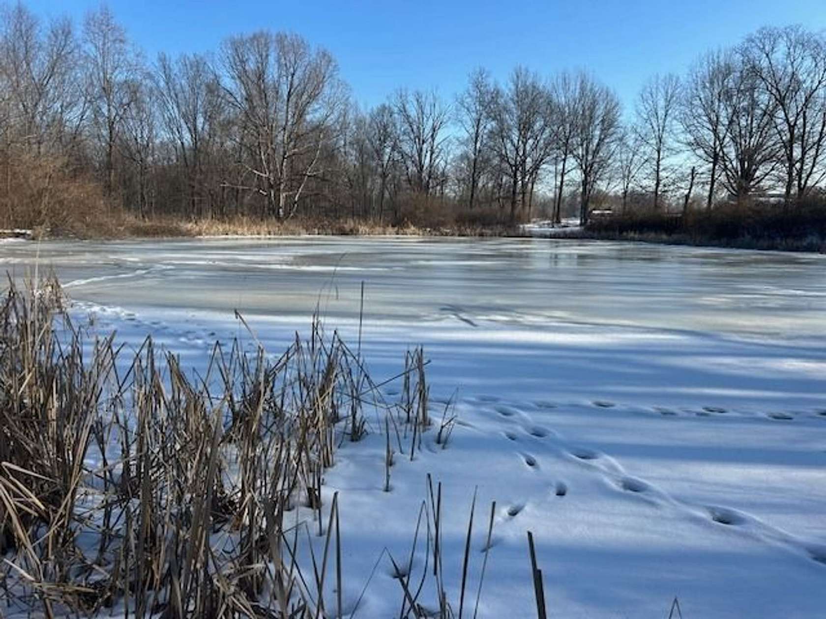 13 Acres of Recreational & Residential Land for Sale in Bloomfield, Indiana