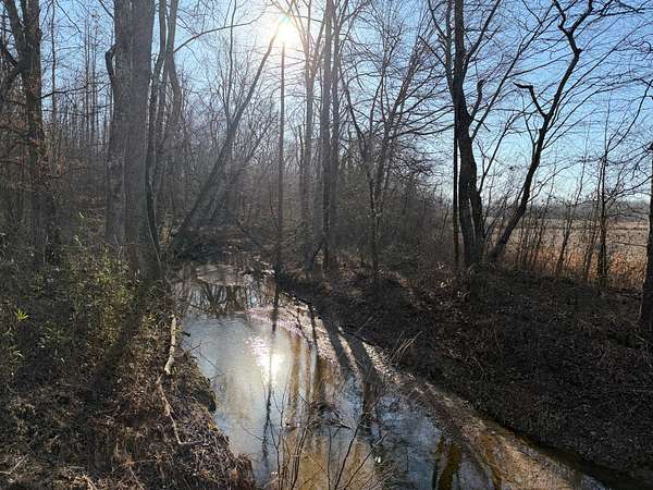 5.4 Acres of Agricultural Land for Sale in Morris Chapel, Tennessee