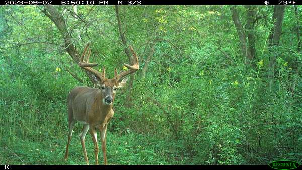 72 Acres of Land for Sale in Cazenovia, Wisconsin