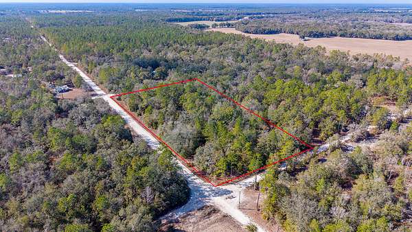 5 Acres of Land for Sale in Bell, Florida