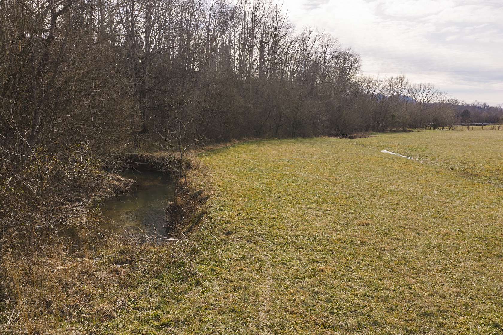 10 Acres of Agricultural Land for Sale in Rutledge, Tennessee