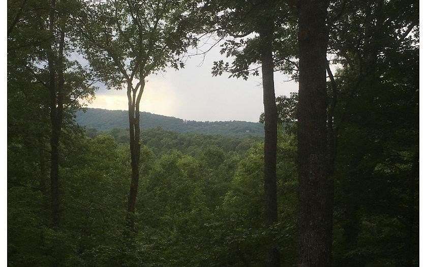 1.74 Acres of Land for Sale in Blue Ridge, Georgia