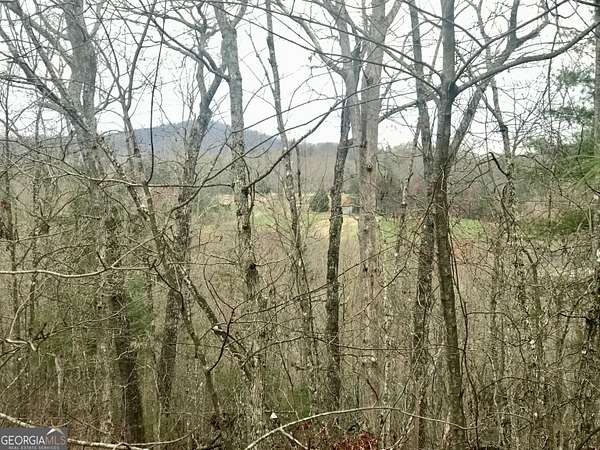 1.74 Acres of Land for Sale in Blue Ridge, Georgia