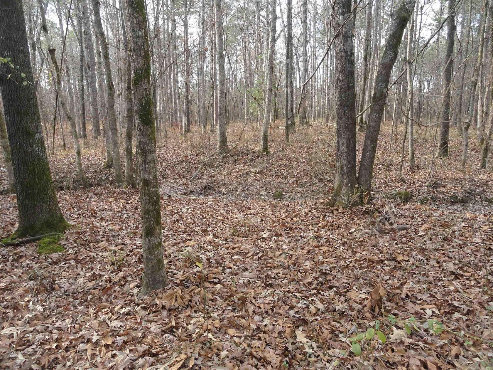 6.67 Acres of Residential Land for Sale in Hensley, Arkansas
