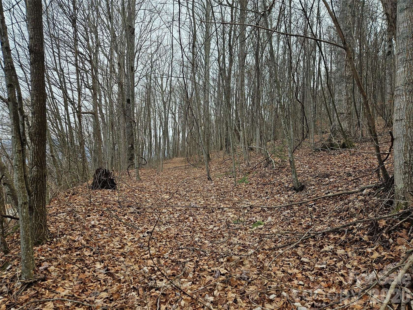 0.94 Acres of Land for Sale in Waynesville, North Carolina