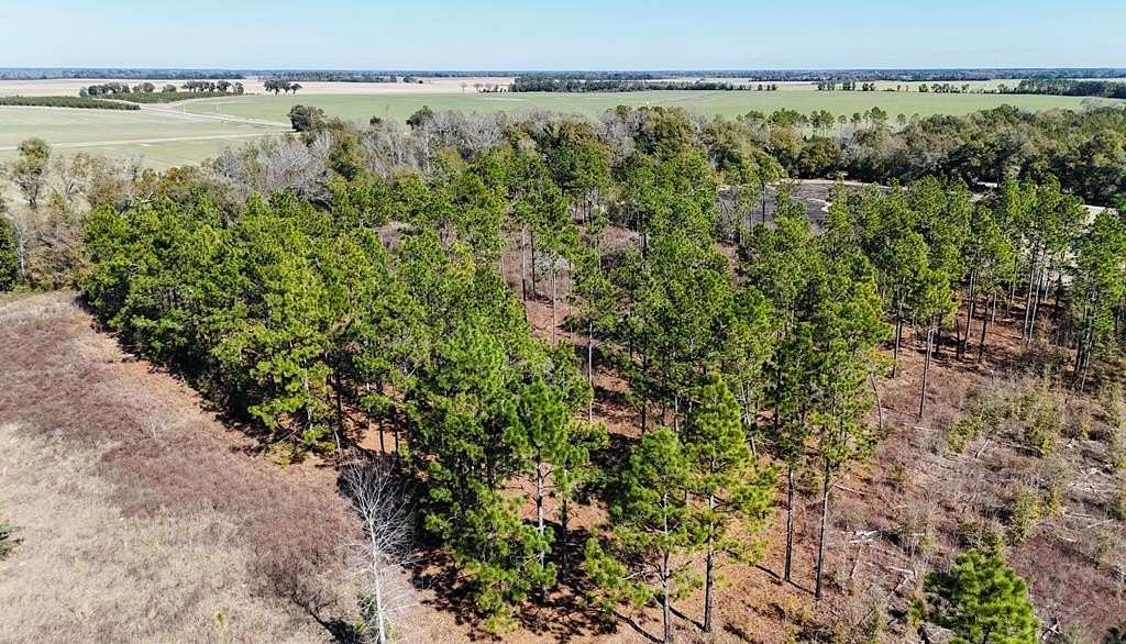 4.9 Acres of Residential Land for Sale in Colquitt, Georgia