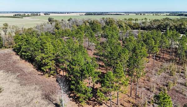 4.9 Acres of Residential Land for Sale in Colquitt, Georgia