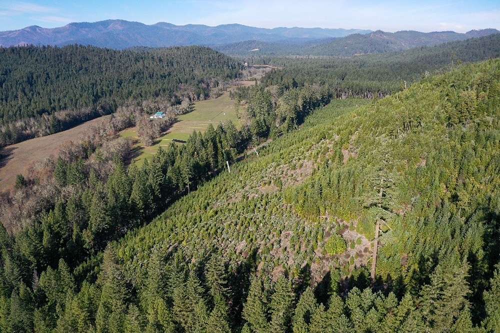 241 Acres of Recreational Land for Sale in Selma, Oregon