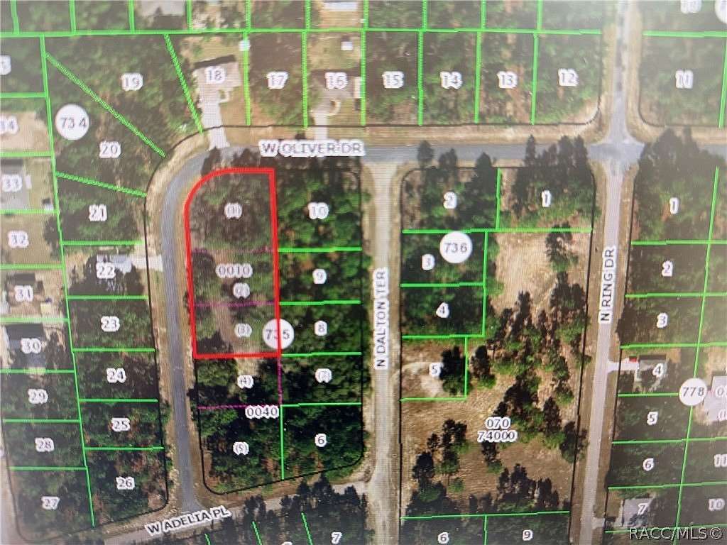 0.77 Acres of Land for Sale in Citrus Springs, Florida