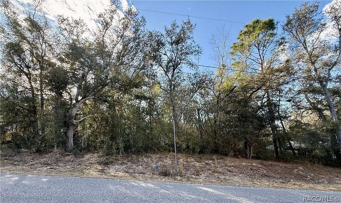 0.25 Acres of Residential Land for Sale in Inverness, Florida
