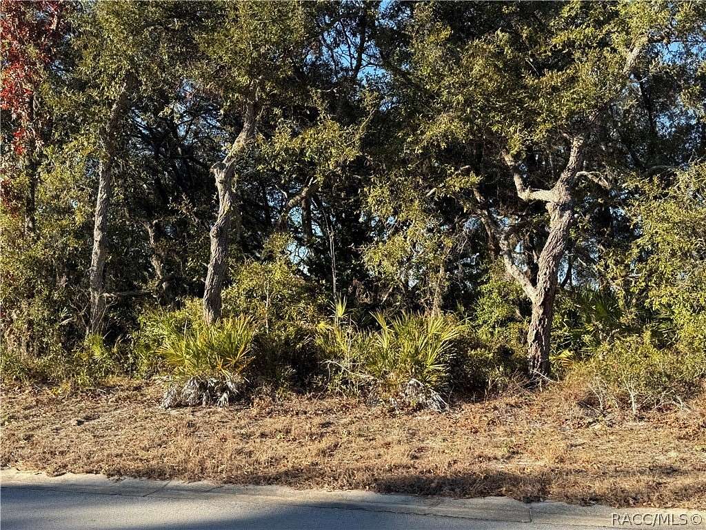 0.21 Acres of Residential Land for Sale in Homosassa, Florida