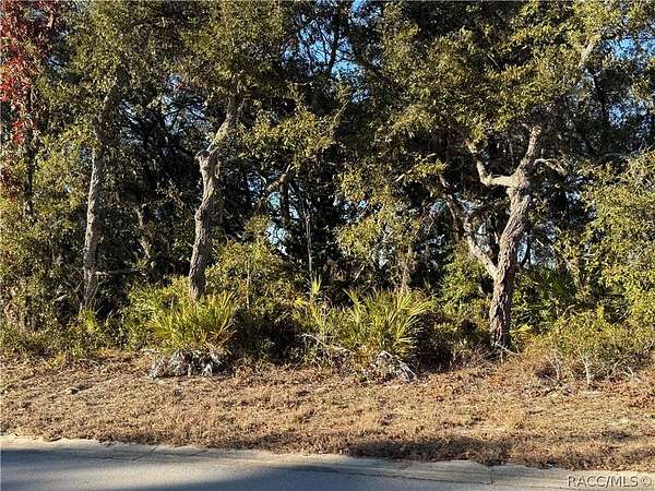 0.21 Acres of Residential Land for Sale in Homosassa, Florida