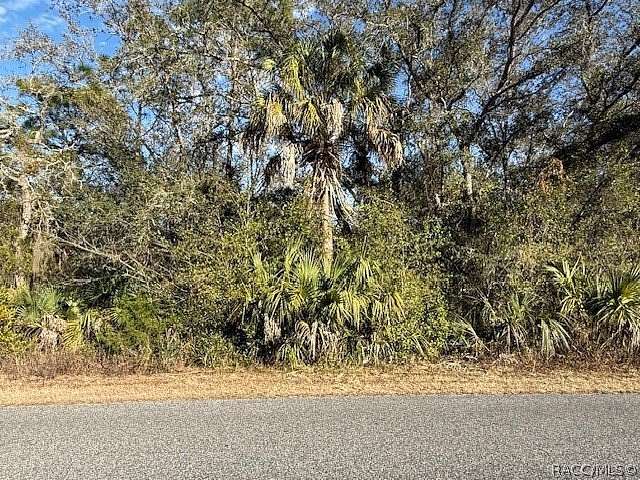 0.25 Acres of Residential Land for Sale in Inverness, Florida