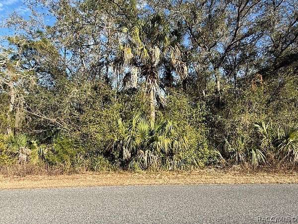 0.25 Acres of Residential Land for Sale in Inverness, Florida