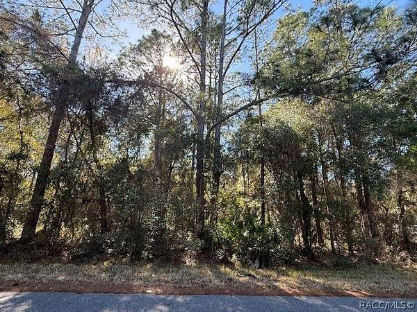 0.2 Acres of Residential Land for Sale in Dunnellon, Florida