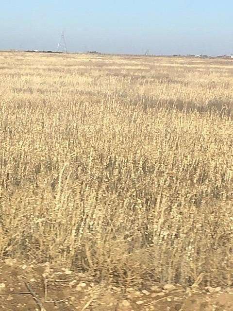 27 Acres of Land for Sale in New Deal, Texas