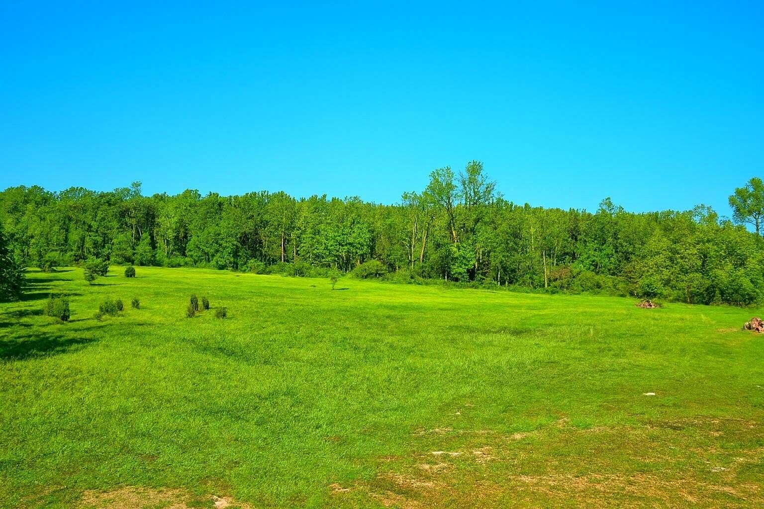 39.2 Acres of Land for Sale in Lawton, Michigan