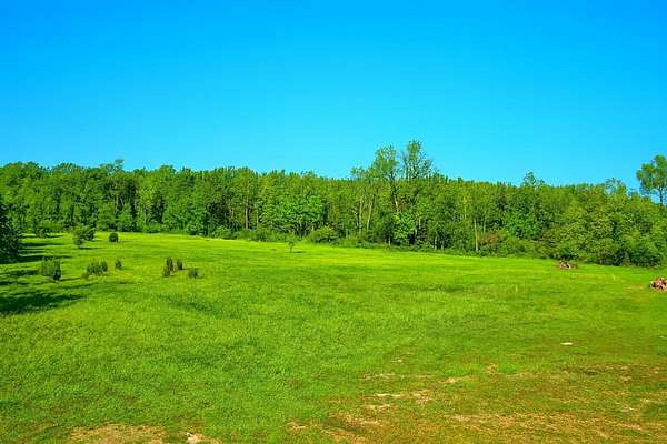 39.2 Acres of Land for Sale in Lawton, Michigan