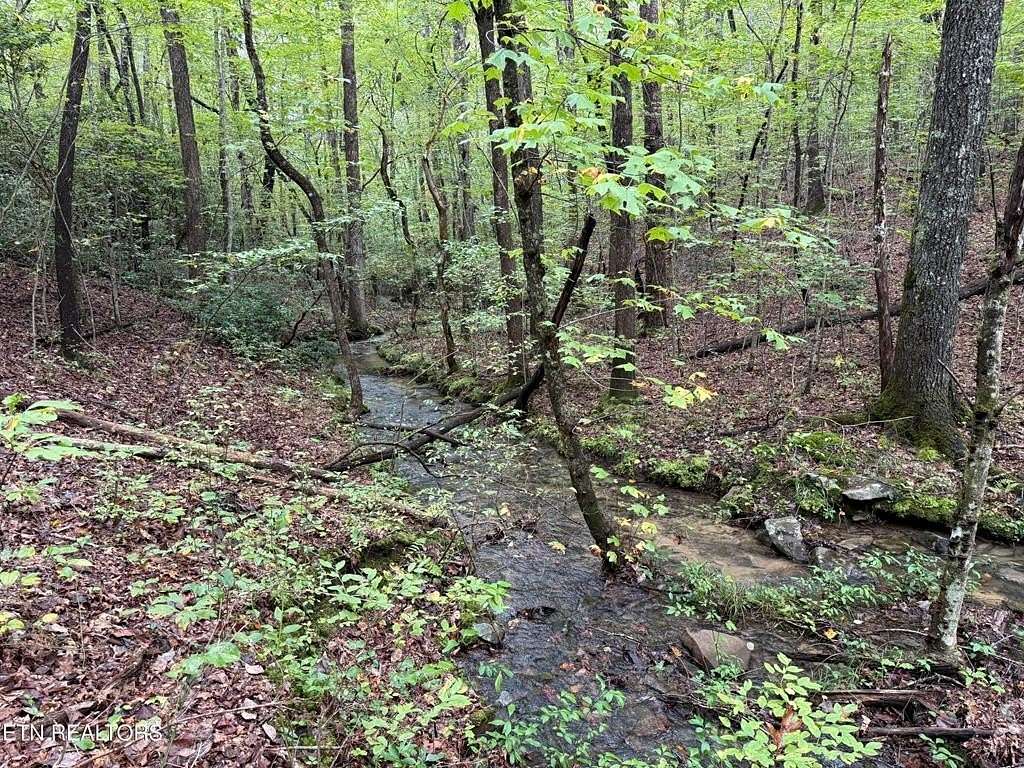 6.9 Acres of Residential Land for Sale in Monterey, Tennessee