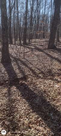 0.73 Acres of Residential Land for Sale in Monteagle, Tennessee