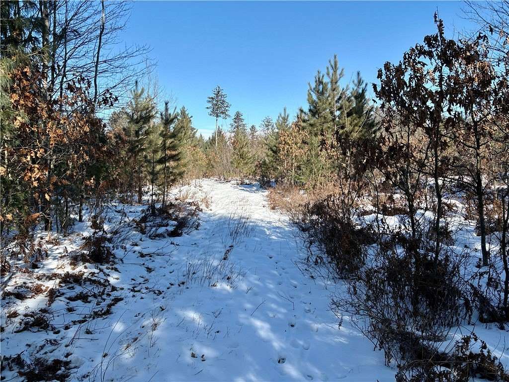 28.8 Acres of Recreational Land for Sale in Pittsville, Wisconsin