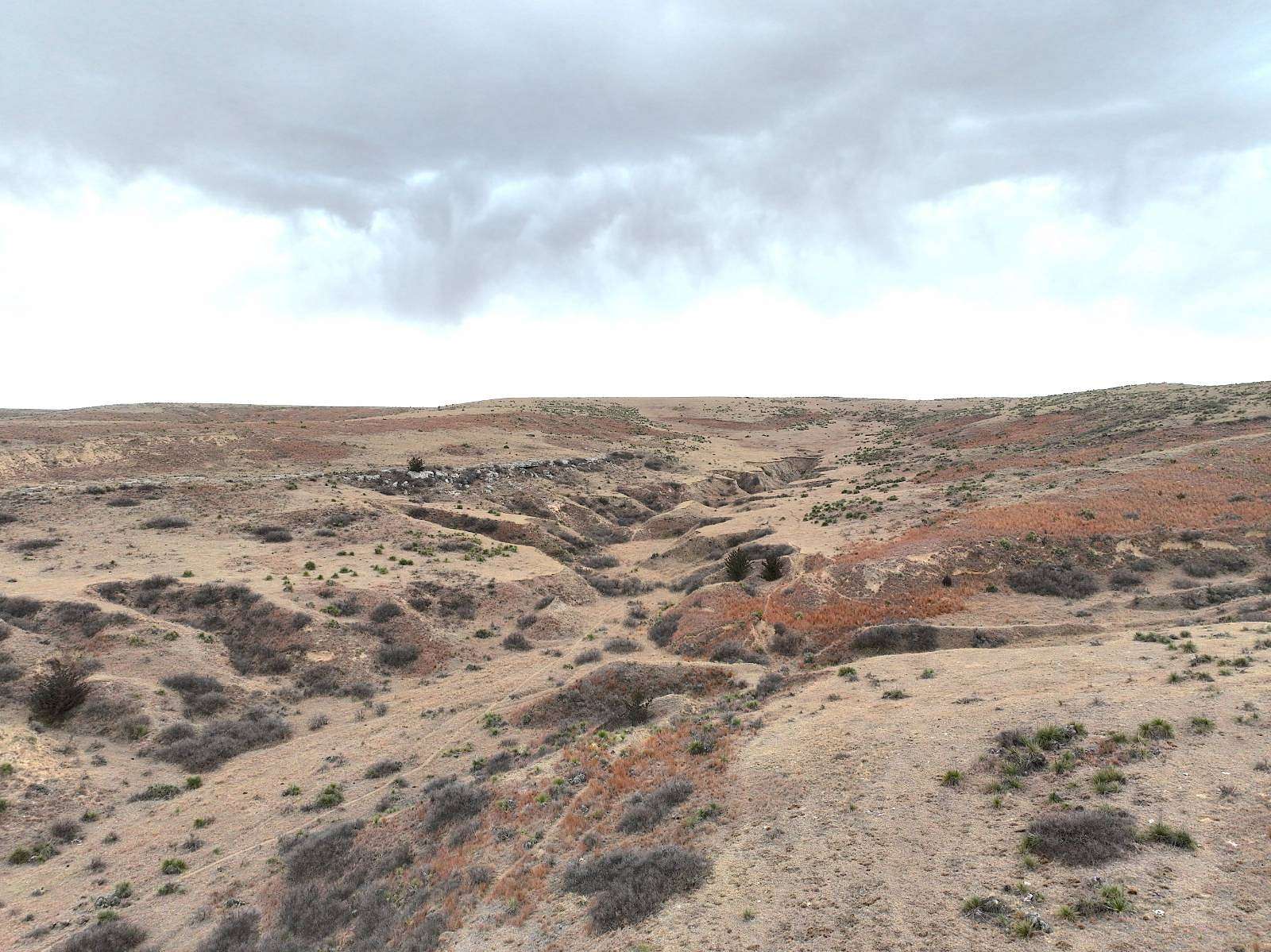 850 Acres of Agricultural Land for Sale in Bird City, Kansas