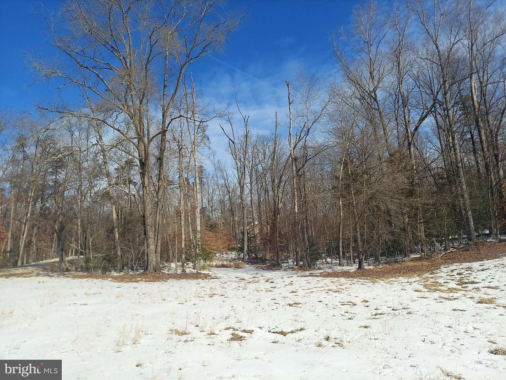 3.69 Acres of Residential Land for Sale in Fredericksburg, Virginia