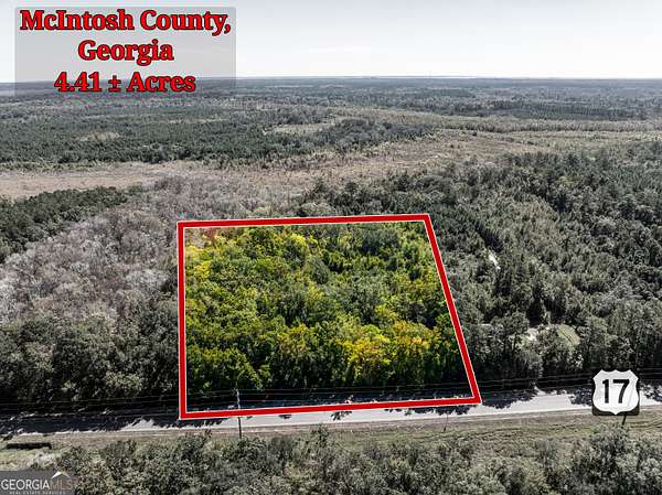 4.4 Acres of Land for Sale in Townsend, Georgia